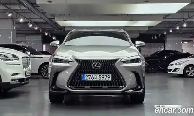 Lexus NX, 2025