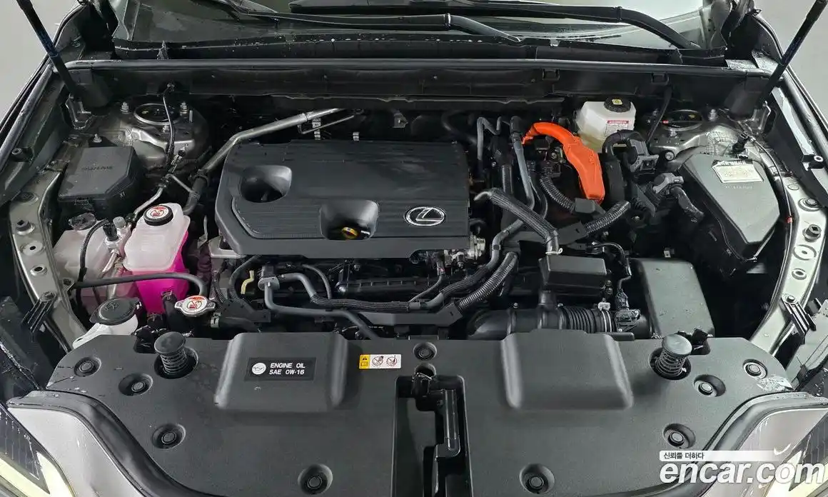 Lexus NX 2025 2.5 Автомат в Москве № 214758, фото 6