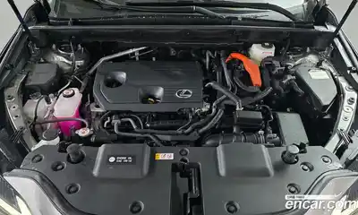 Lexus NX 2025 2.5 Автомат в Москве № 214758, миниатюра 6