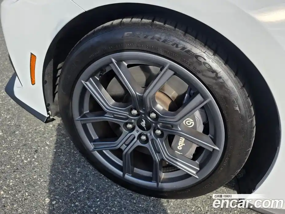 Ford Mustang 2024 2.3 Автомат в Москве № 281770, фото 14