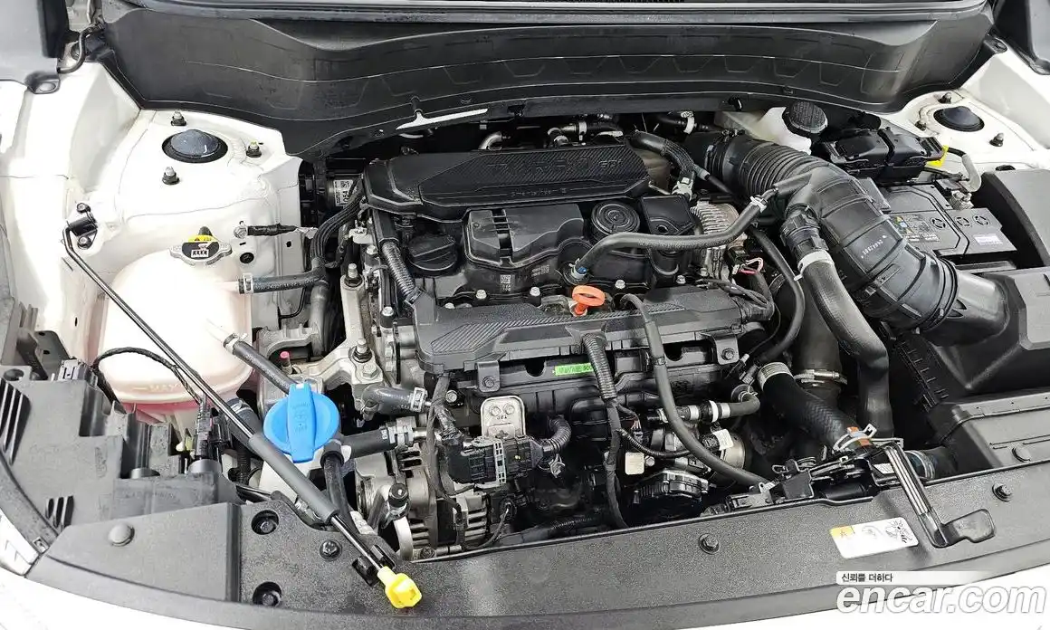 Kia Seltos 2024 1.6 Автомат в Москве № 586638, фото 6