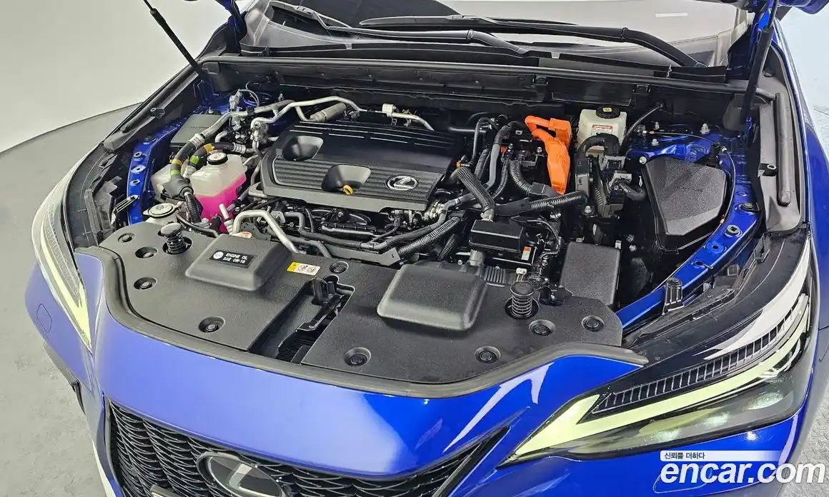 Lexus NX 2022 2.5 Автомат в Москве № 595575, фото 5