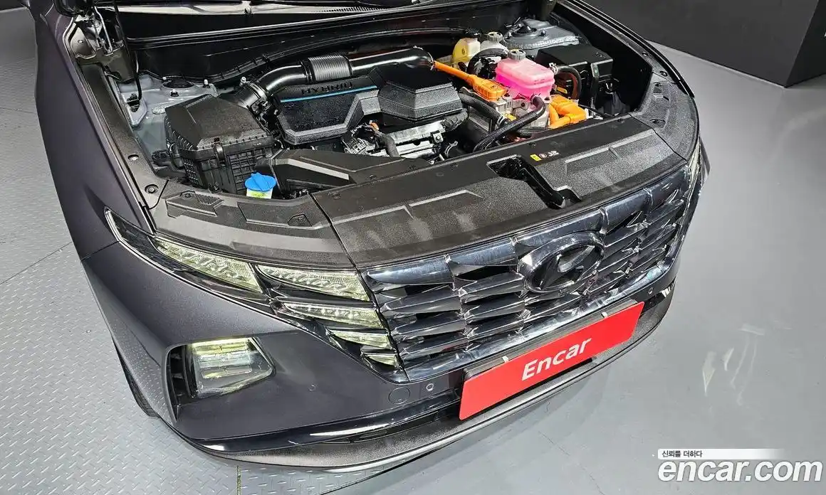 Hyundai Tucson 2023 1.6 Автомат в Москве № 608616, фото 6