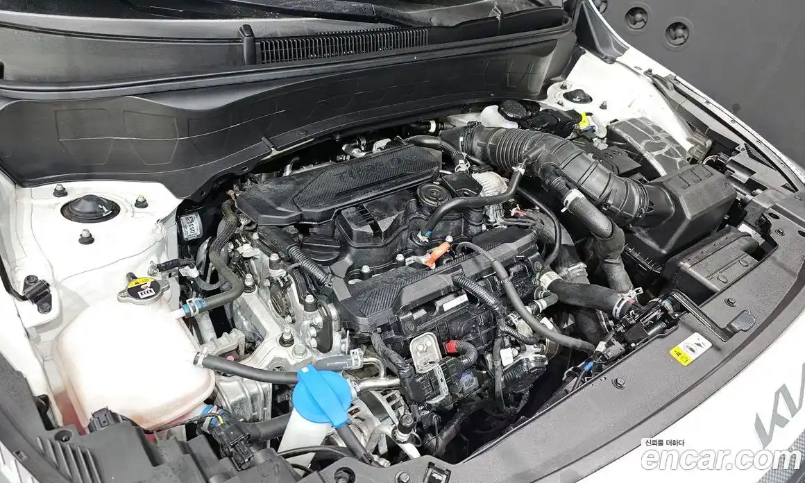 Kia Seltos 2023 1.6 Автомат в Москве № 612443, фото 6