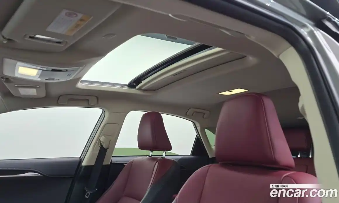 Lexus NX 2020 2.5 Автомат в Москве № 595565, фото 19