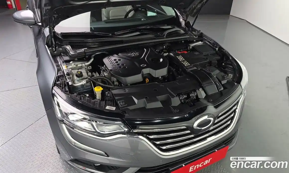 Renault SM6 2019 2.0 Автомат в Москве № 590009, фото 6