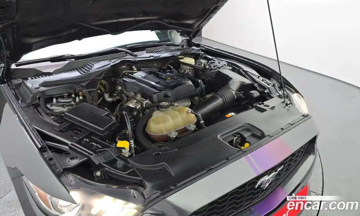 Ford Mustang 2015 2.3 Автомат в Москве № 610120, фото 6