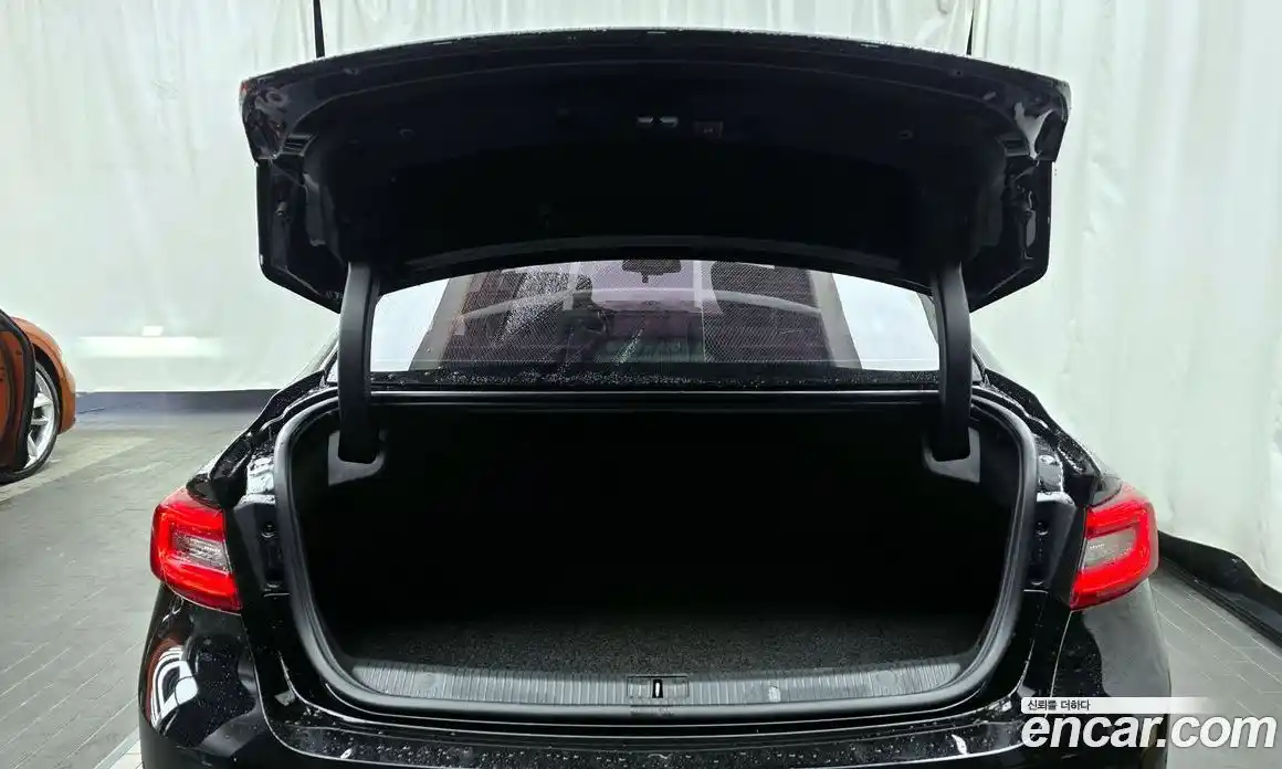 Renault SM6 2019 2.0 Автомат в Москве № 301117, фото 19