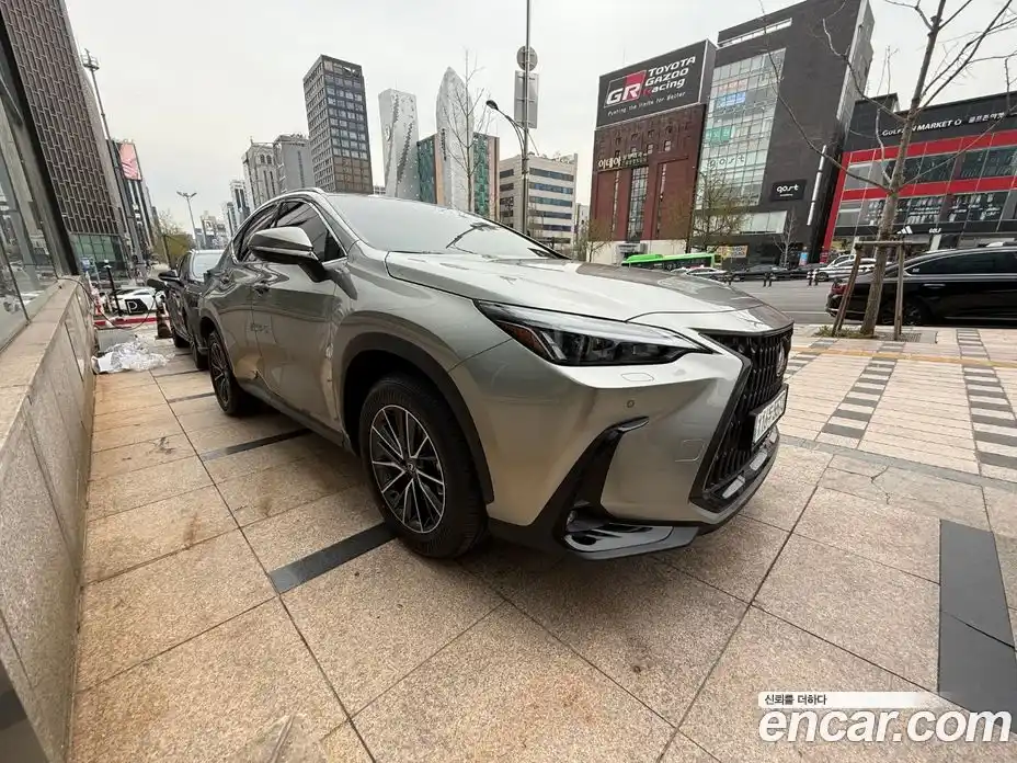 Lexus NX 2025 2.5 Автомат в Москве № 214721, фото 3