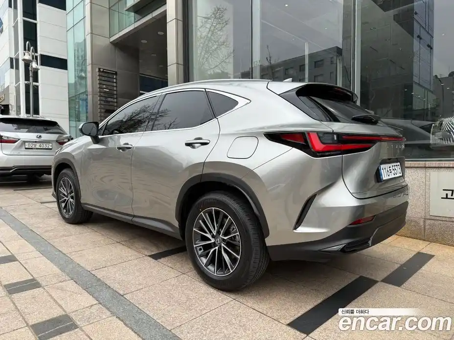 Lexus NX 2025 2.5 Автомат в Москве № 214721, фото 5