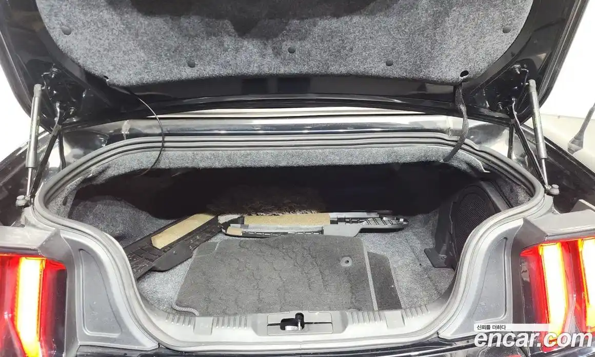 Ford Mustang 2019 5.0 Автомат в Москве № 584806, фото 20