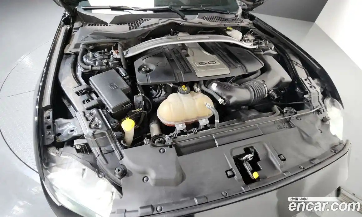 Ford Mustang 2019 5.0 Автомат в Москве № 584806, фото 6