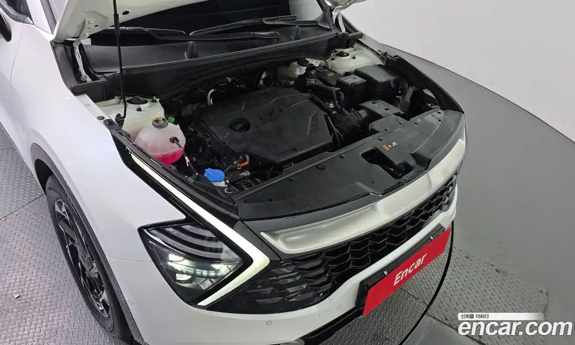 Kia Sportage 2024 2.0 Автомат в Москве № 586953, фото 6