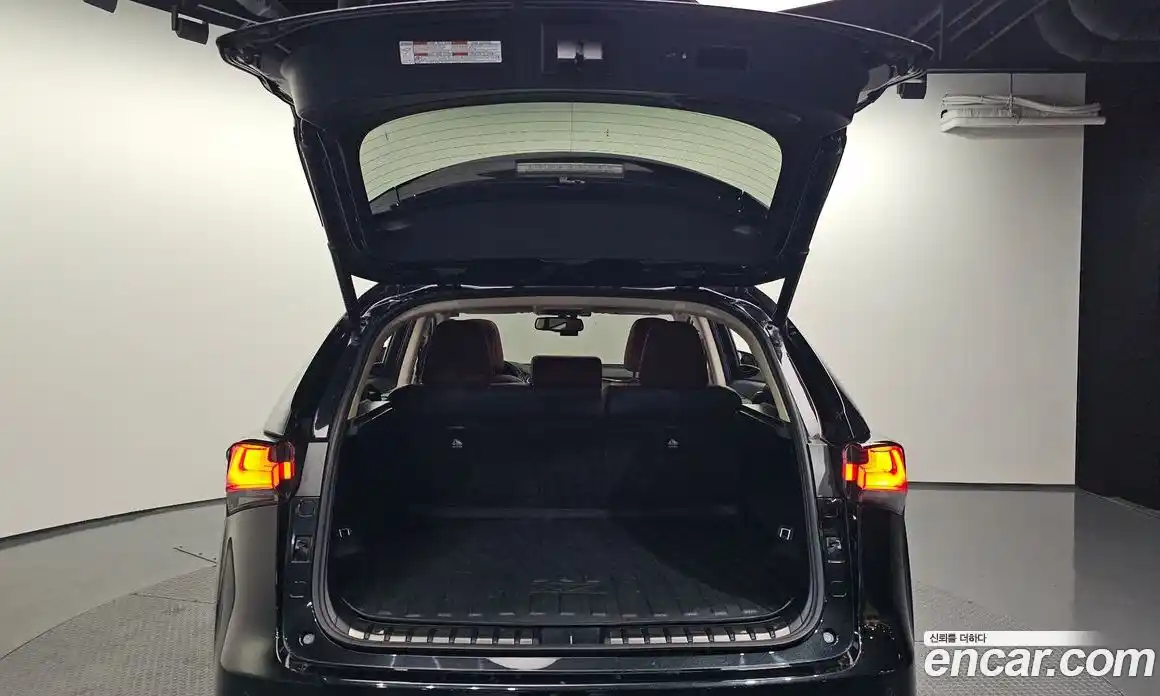 Lexus NX 2018 2.5 Автомат в Москве № 628621, фото 20