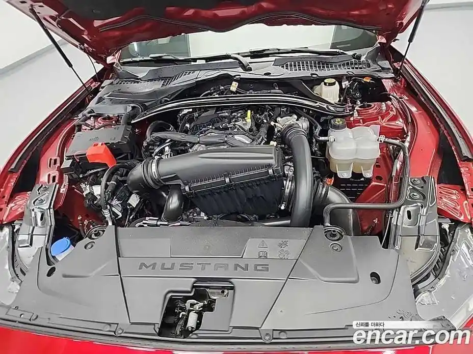 Ford Mustang 2024 2.3 Автомат в Москве № 680913, фото 5