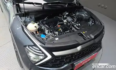 Kia Sportage 2023 1.6 гидро в Москве № 121307, миниатюра 6