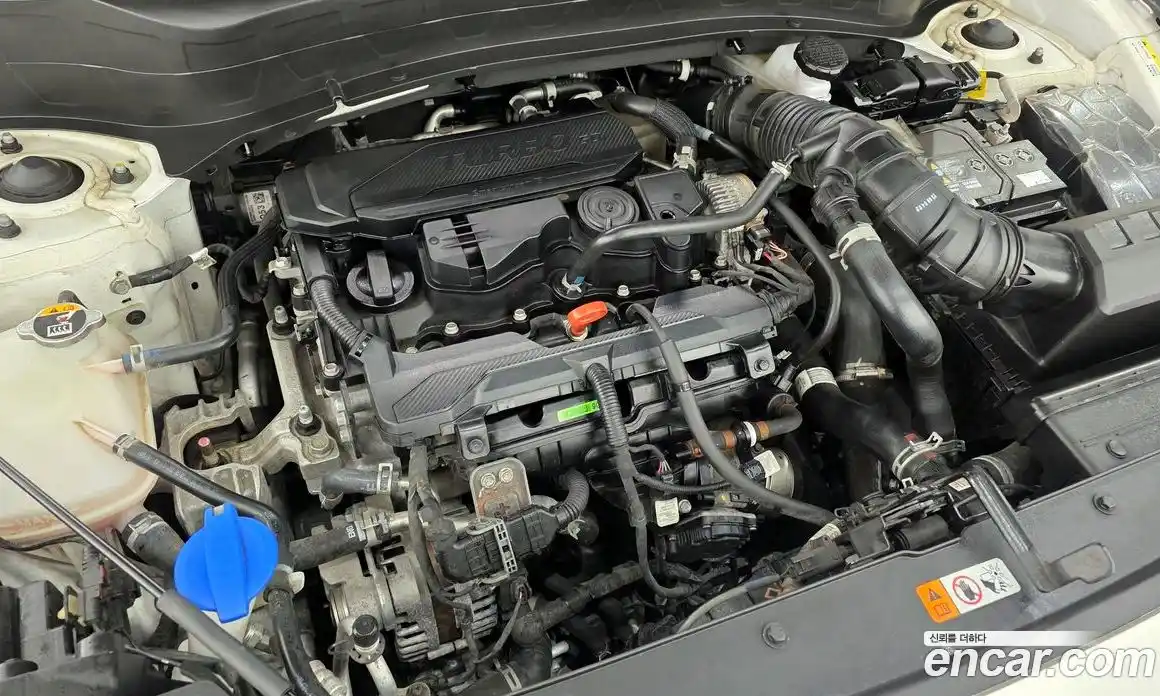 Kia Seltos 2023 1.6 Автомат в Москве № 716423, фото 6