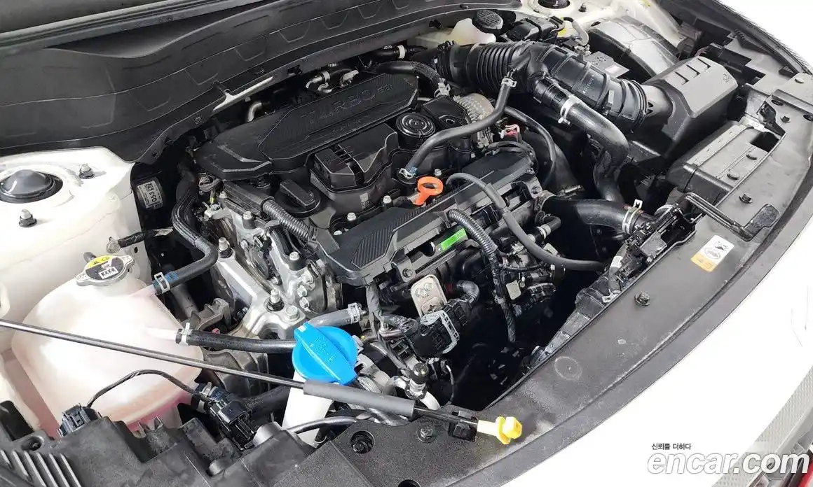 Kia Seltos 2024 1.6 Автомат в Москве № 715804, фото 6