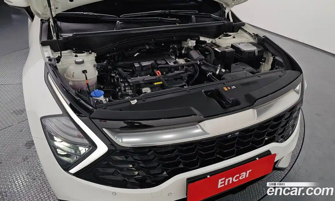 Kia Sportage 2024 1.6 Автомат в Москве № 797579, фото 6