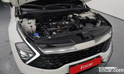 Kia Sportage 2024 1.6 Автомат в Москве № 797579, миниатюра 6