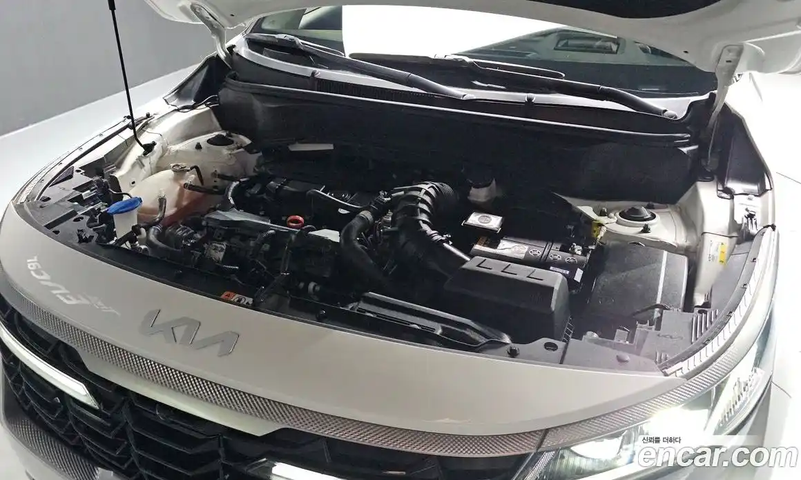 Kia Seltos 2023 1.6 Автомат в Москве № 798123, фото 6