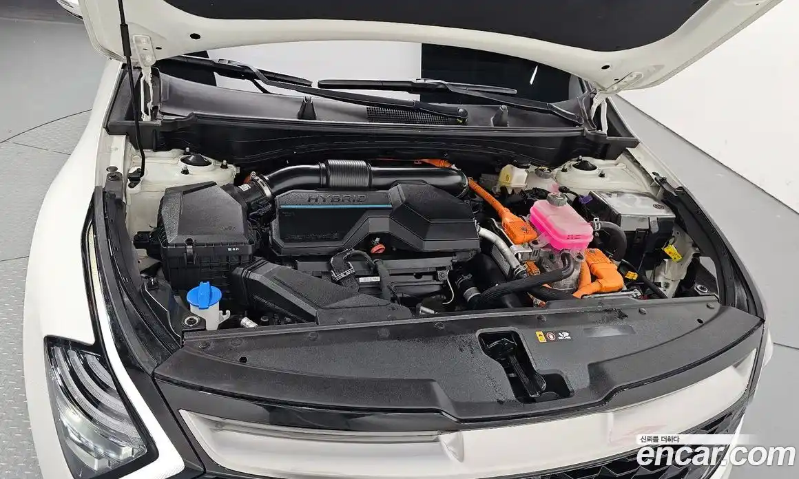 Kia Sportage 2023 1.6 Автомат в Москве № 929613, фото 6