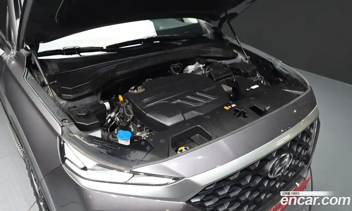 Hyundai Santa Fe 2019 2.0 гидро в Москве № 926939, фото 6