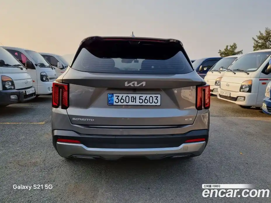 Kia Sorento 2024 1.6 гидро, фото 4
