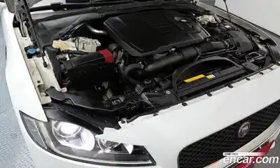 Jaguar XF 2018 2.0 гидро в Москве № 305057, миниатюра 6