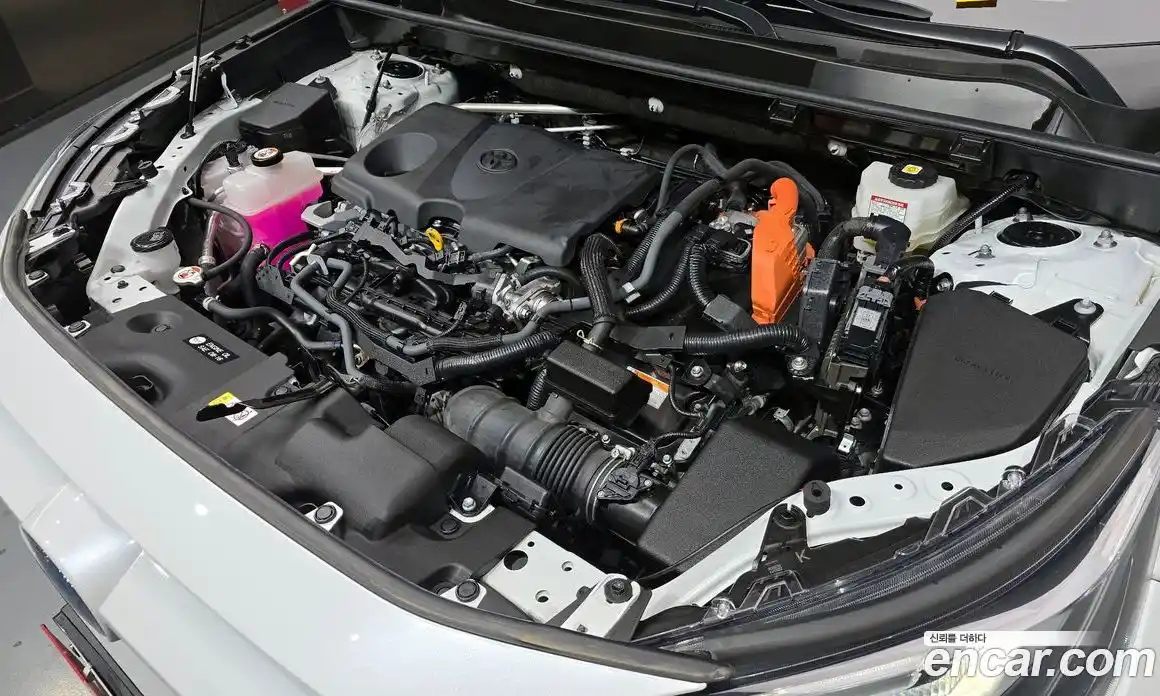 Toyota RAV4 2023 2.5 гидро в Москве № 170227, фото 6