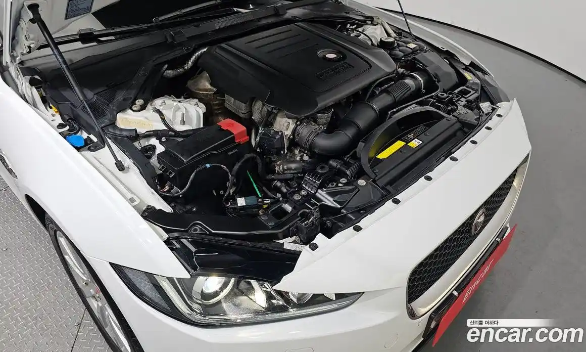 Jaguar XE 2019 2.0 гидро в Москве № 262125, фото 6