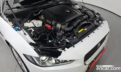 Jaguar XE 2019 2.0 гидро в Москве № 262125, миниатюра 6