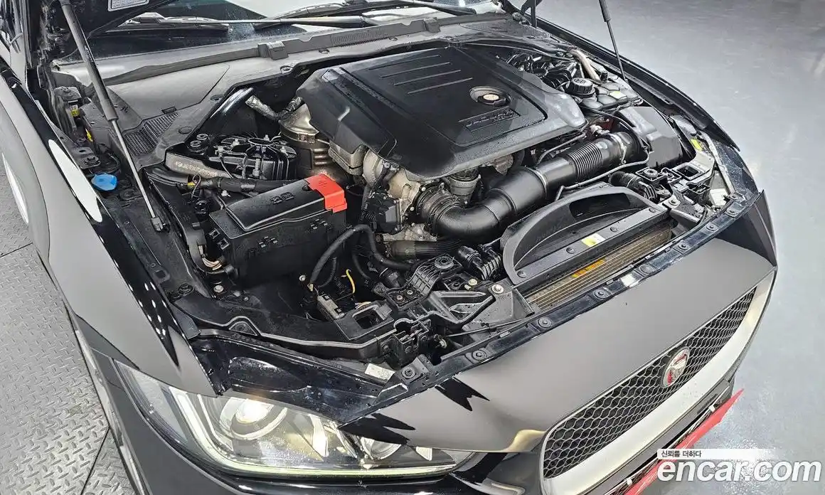 Jaguar XE 2015 2.0 гидро в Москве № 304942, фото 6