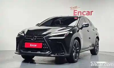 Lexus NX, 2023