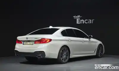 BMW 5-Series 2020 2.0 гидро, миниатюра 2