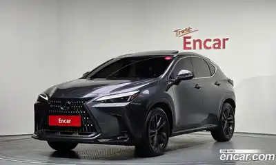 Lexus NX, 2024