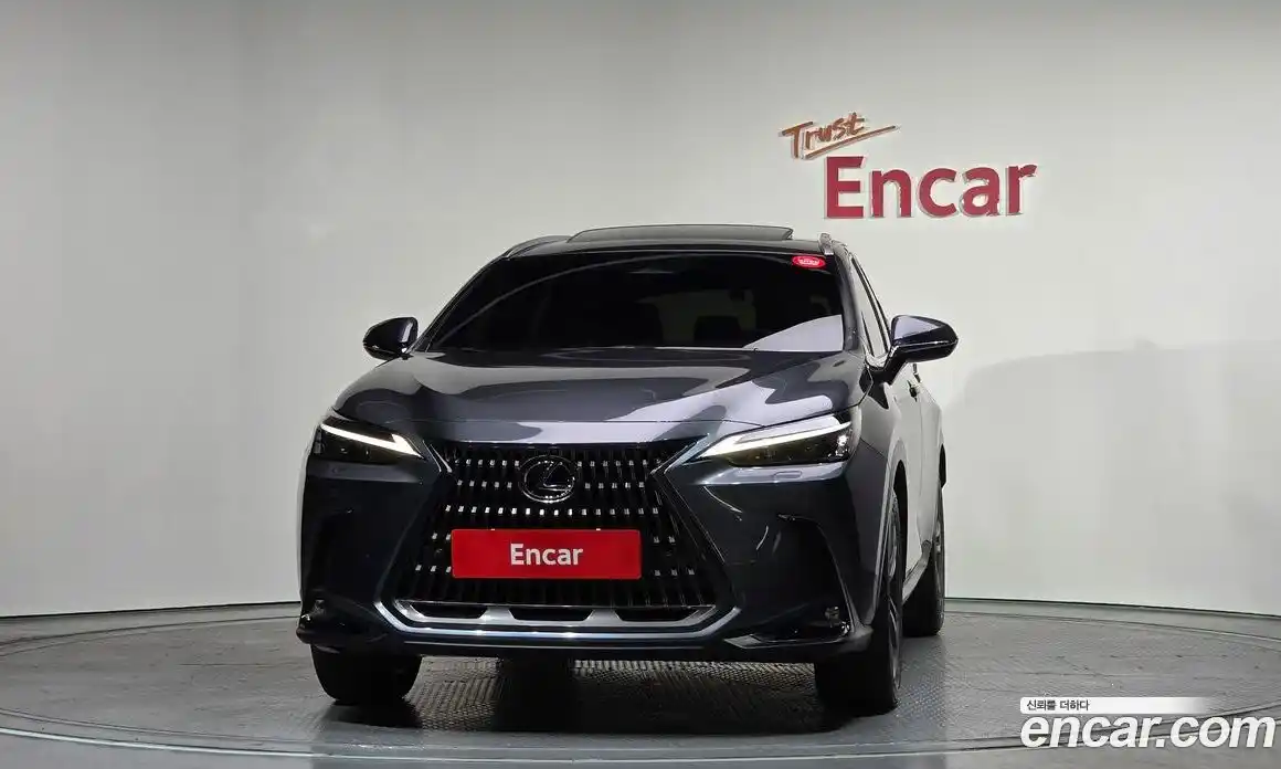 Lexus NX 2024 2.5 гидро в Москве № 254046, фото 3