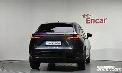 Lexus NX 2024 2.5 гидро в Москве № 254046, миниатюра 4