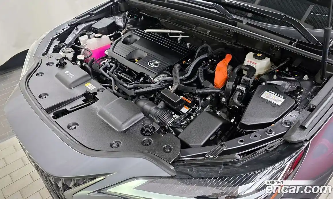 Lexus NX 2024 2.5 гидро в Москве № 254046, фото 6
