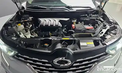Renault QM6 2020 2.0 гидро, миниатюра 6