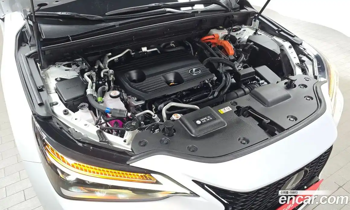 Lexus NX 2024 2.5 гидро в Москве № 168073, фото 6