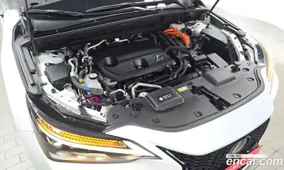 Lexus NX 2024 2.5 гидро в Москве № 168073, миниатюра 6