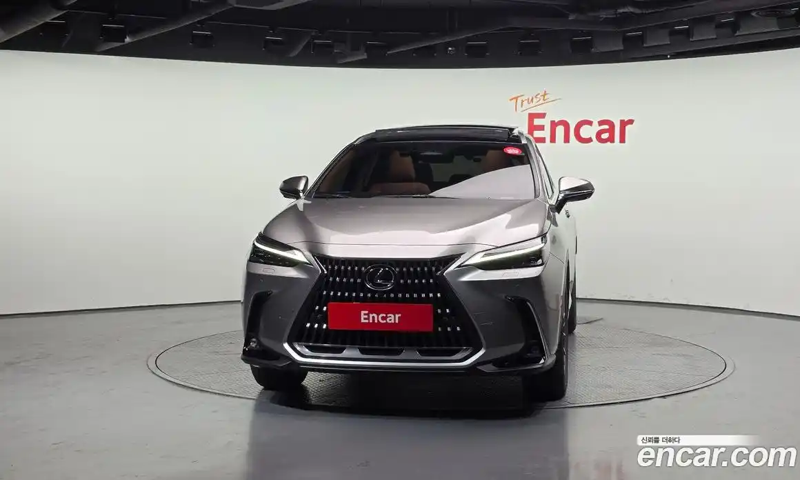 Lexus NX 2025 2.5 гидро в Москве № 499555, фото 3