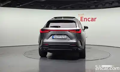 Lexus NX 2025 2.5 гидро в Москве № 499555, миниатюра 4
