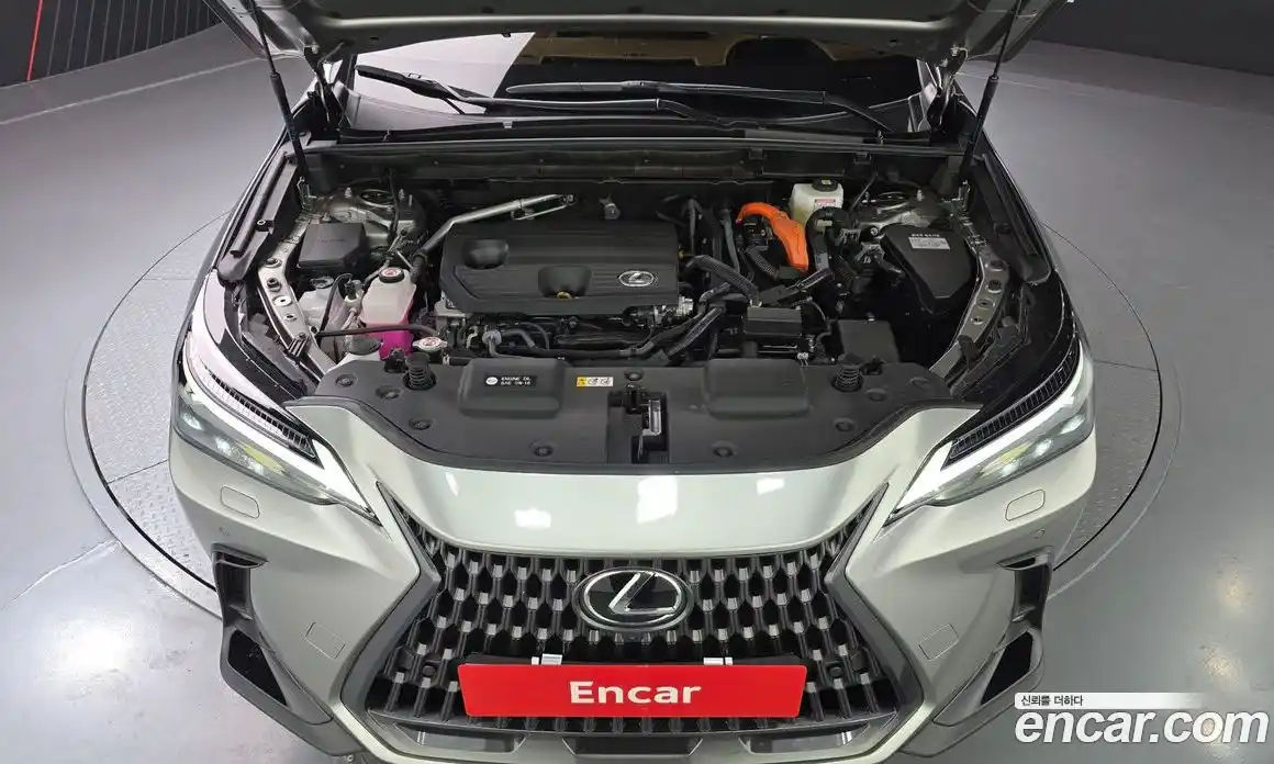 Lexus NX 2025 2.5 гидро в Москве № 499555, фото 6