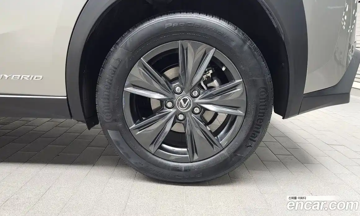 Lexus UX 2020 2.0 гидро в Москве № 766778, фото 5