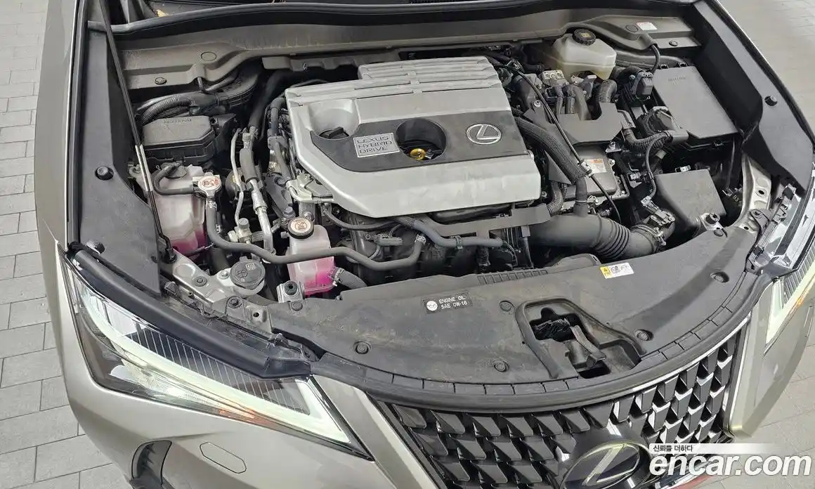 Lexus UX 2020 2.0 гидро в Москве № 766778, фото 6