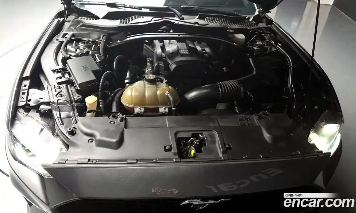 Ford Mustang 2019 2.3 гидро в Москве № 827100, фото 6