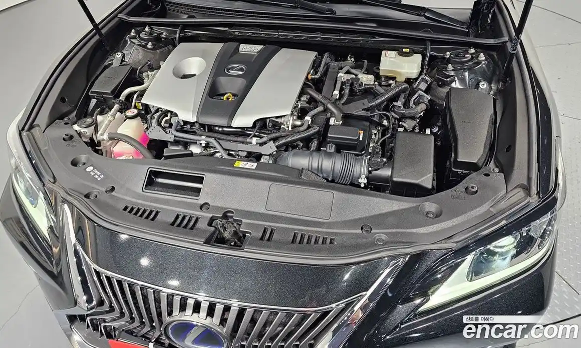 Lexus ES 2020 2.5 гидро в Москве № 168150, фото 6
