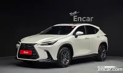 Lexus NX, 2024